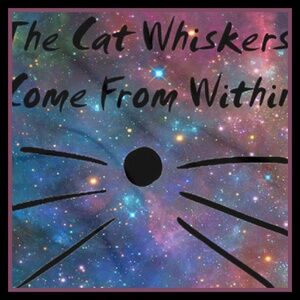 Rage On ✦ Dan & Phil Whiskers Bandana ✦ Cosmic Print Moisture-Wicking Polyester